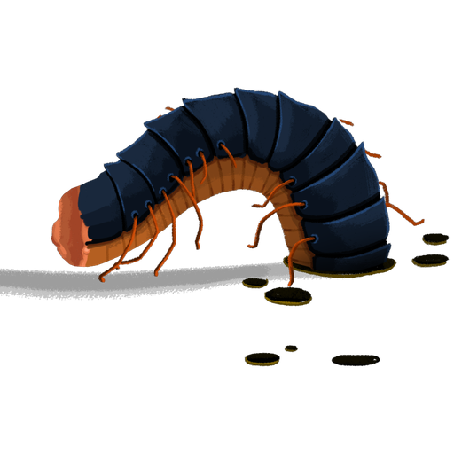 Decimillipede Segment Back