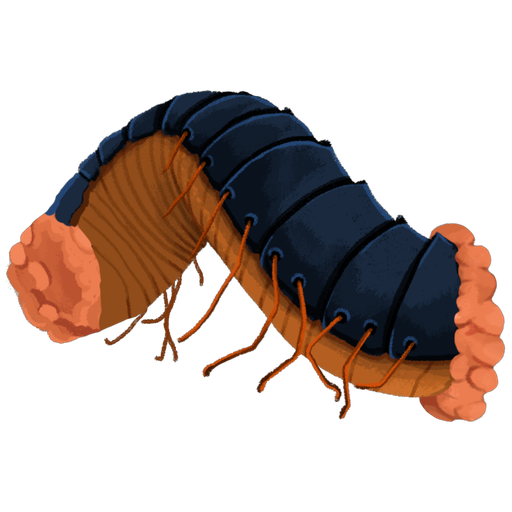 Decimillipede Segment Front