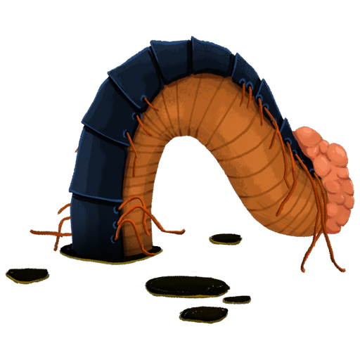 Decimillipede Segment Middle