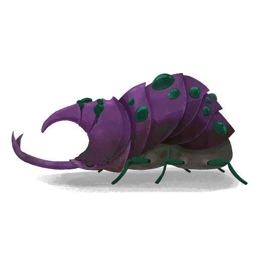 熟睡甲虫