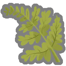 娇嫩蕨草